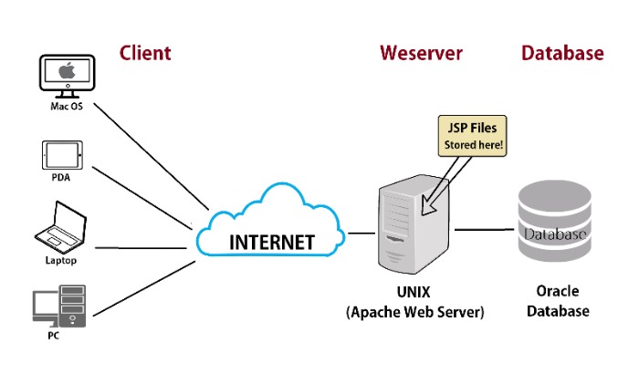 10 величайших базы базы данных MySQL в интернет хостинге по низкой стоимости в 2025 году